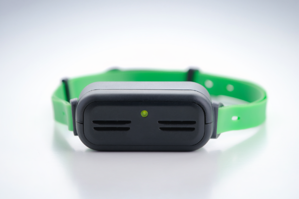 best-bark-collars-types