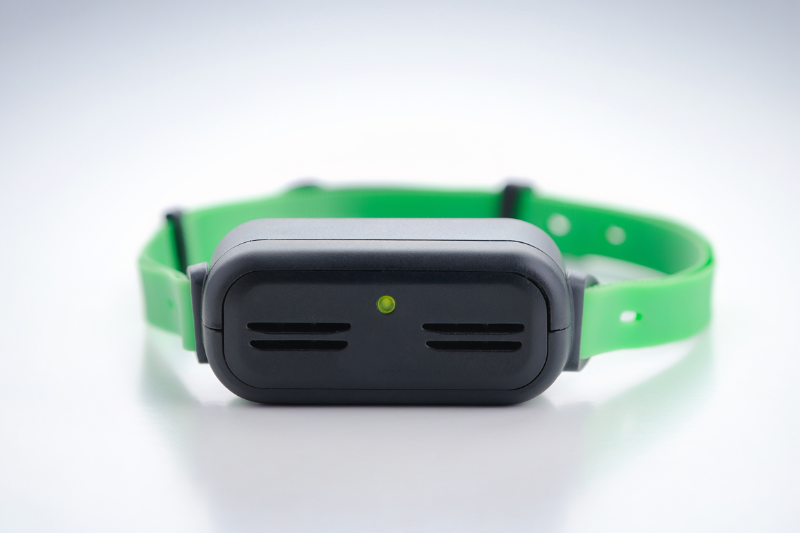 best-bark-collars-types